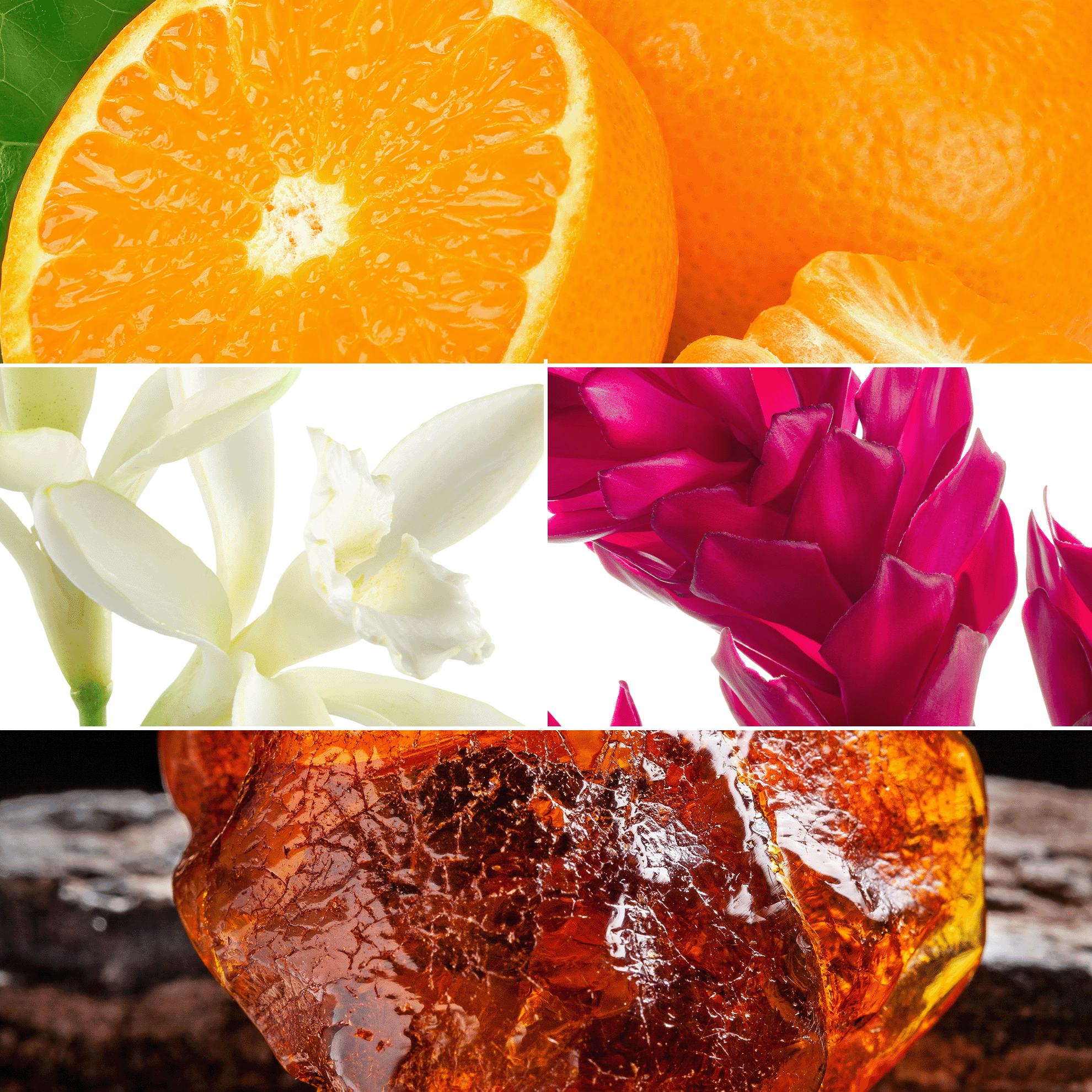 Color
